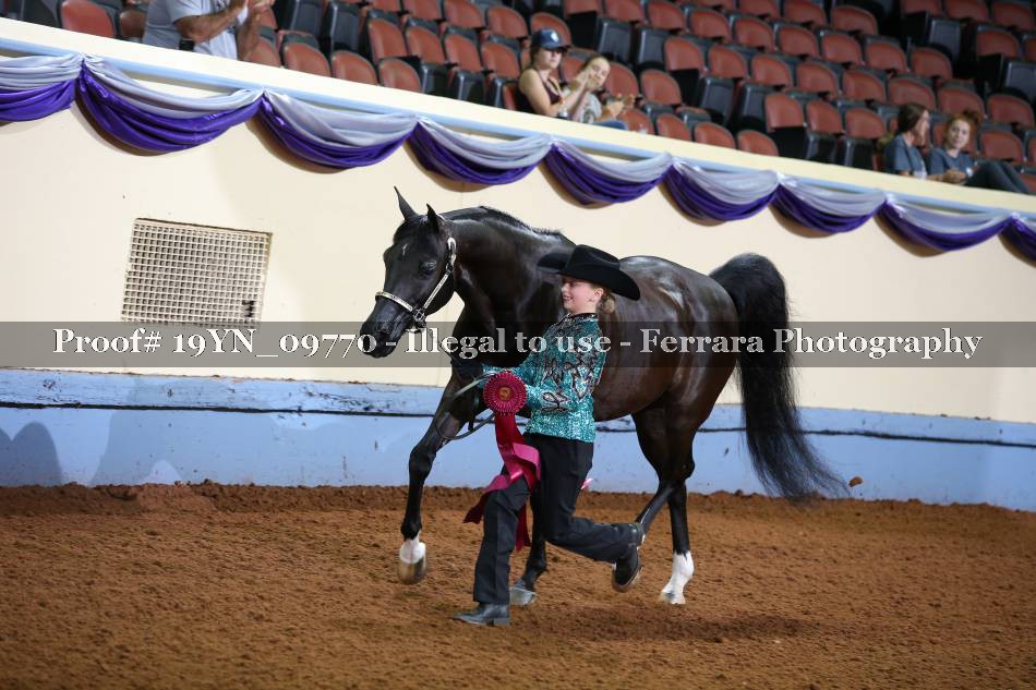 Proof 19YN_09770