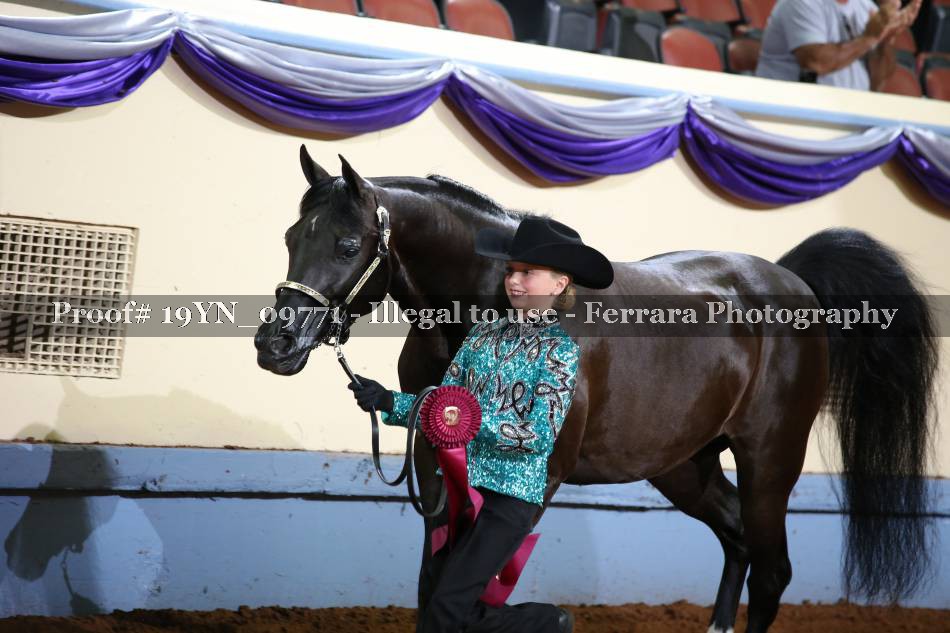 Proof 19YN_09771