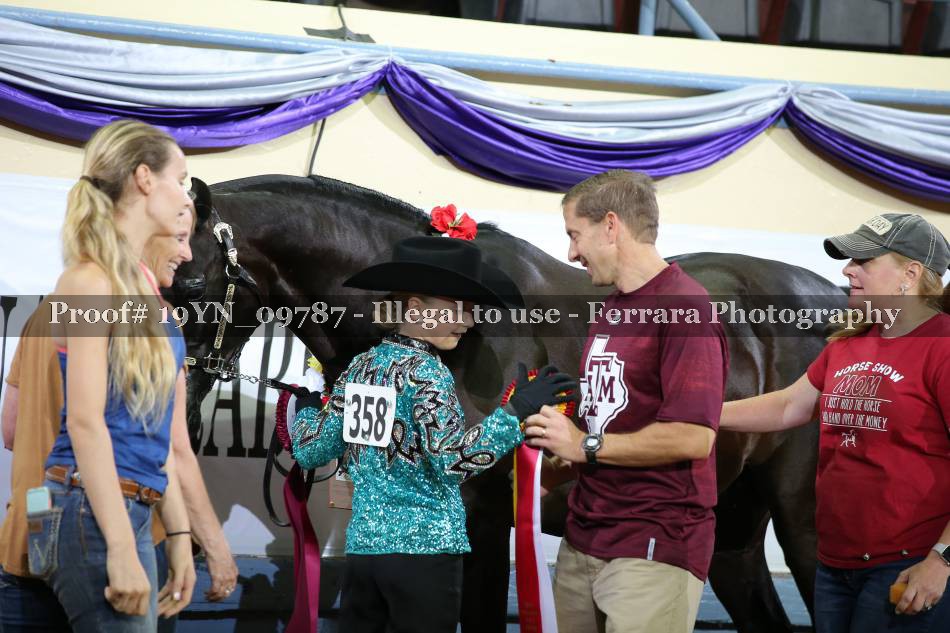 Proof 19YN_09787