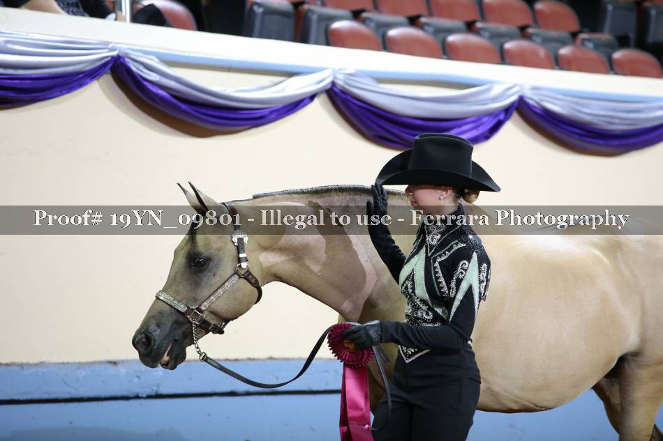 Proof 19YN_09801