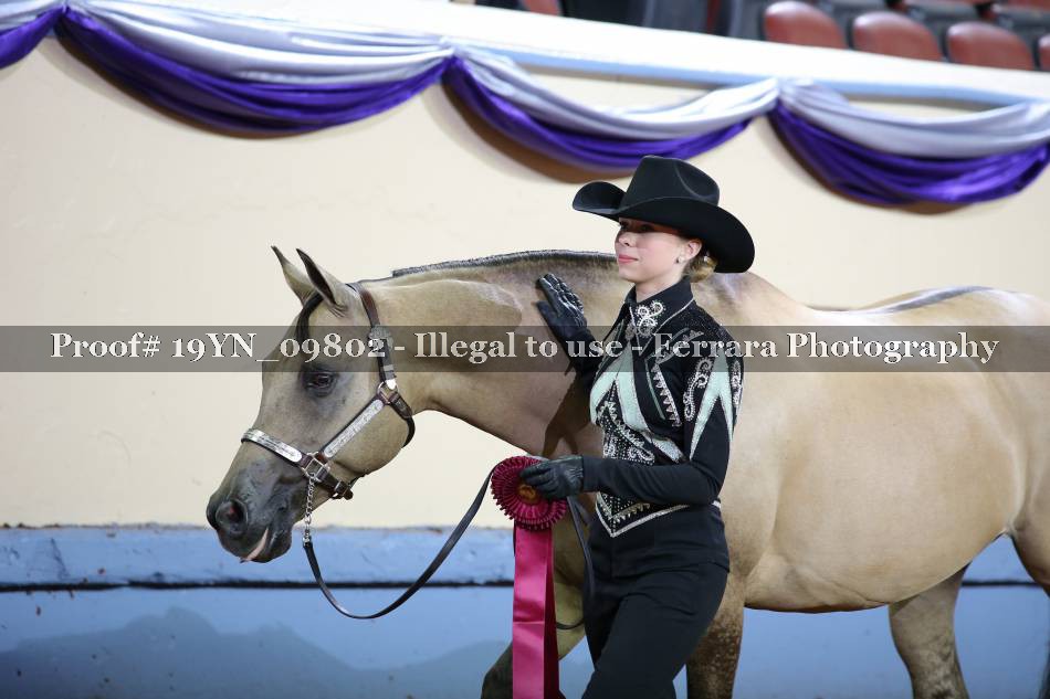 Proof 19YN_09802