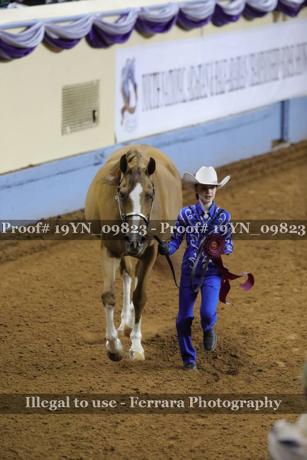 Proof 19YN_09823