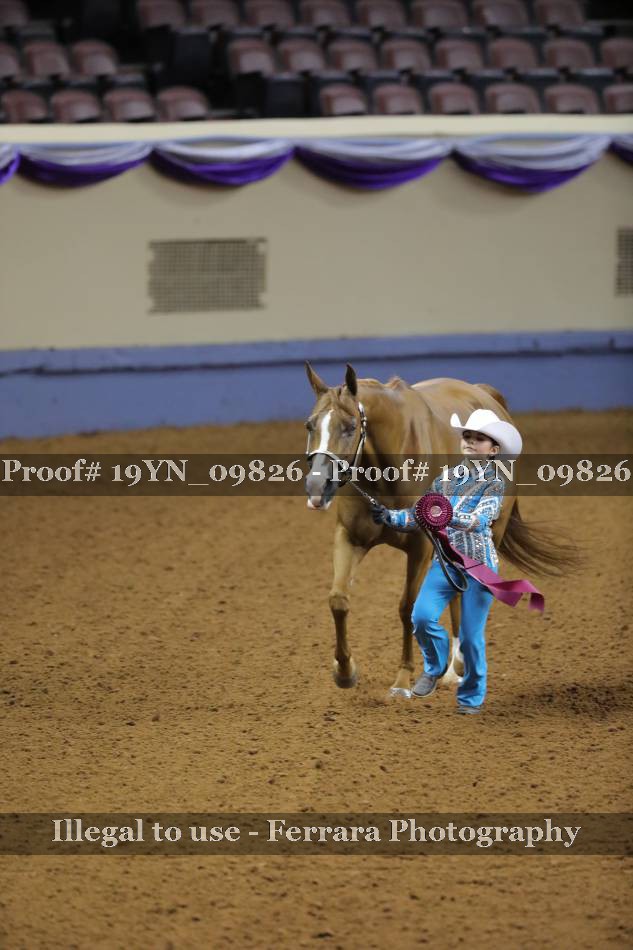 Proof 19YN_09826