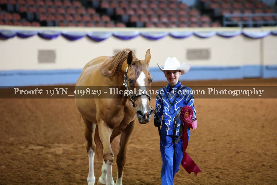 Proof 19YN_09829