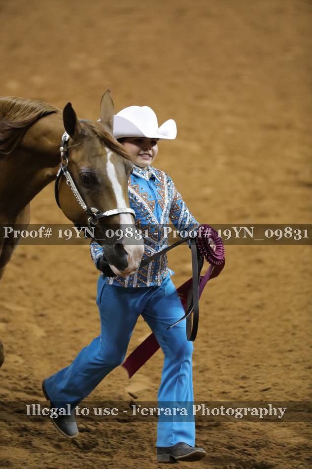 Proof 19YN_09831