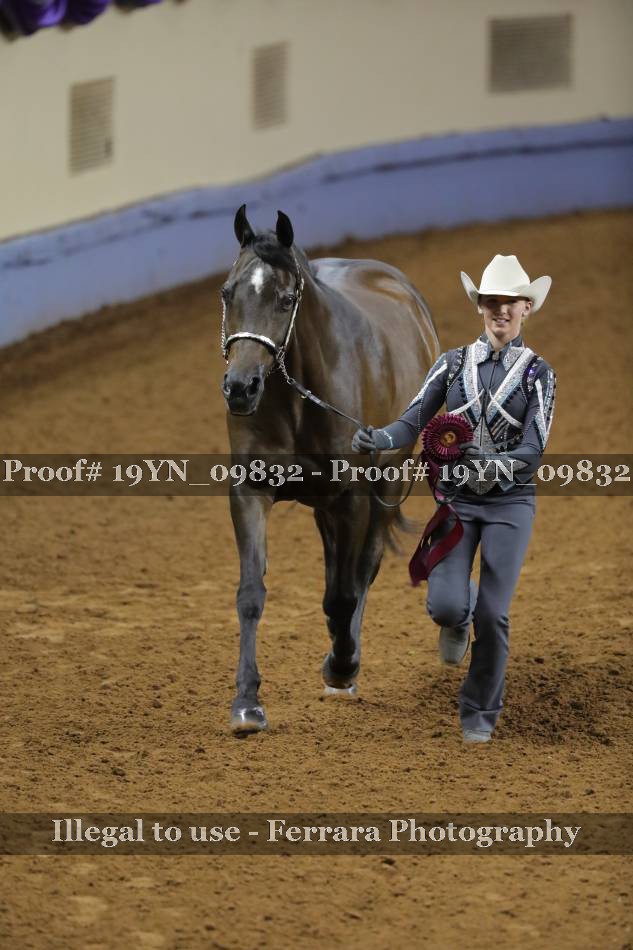 Proof 19YN_09832