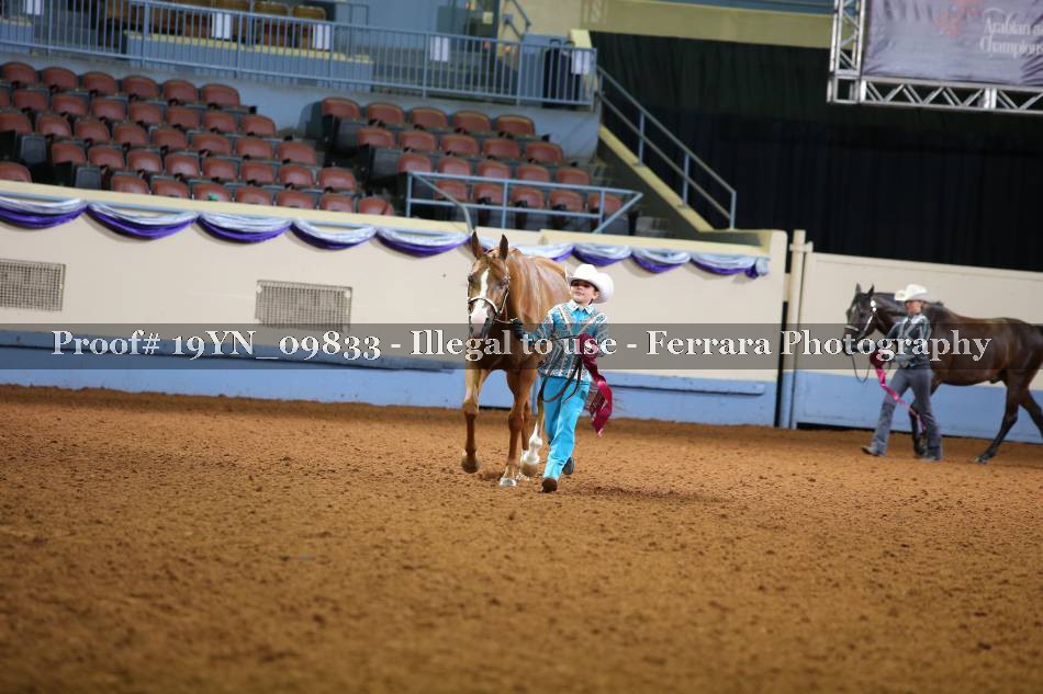 Proof 19YN_09833
