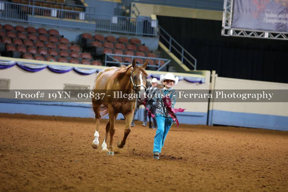 Proof 19YN_09837