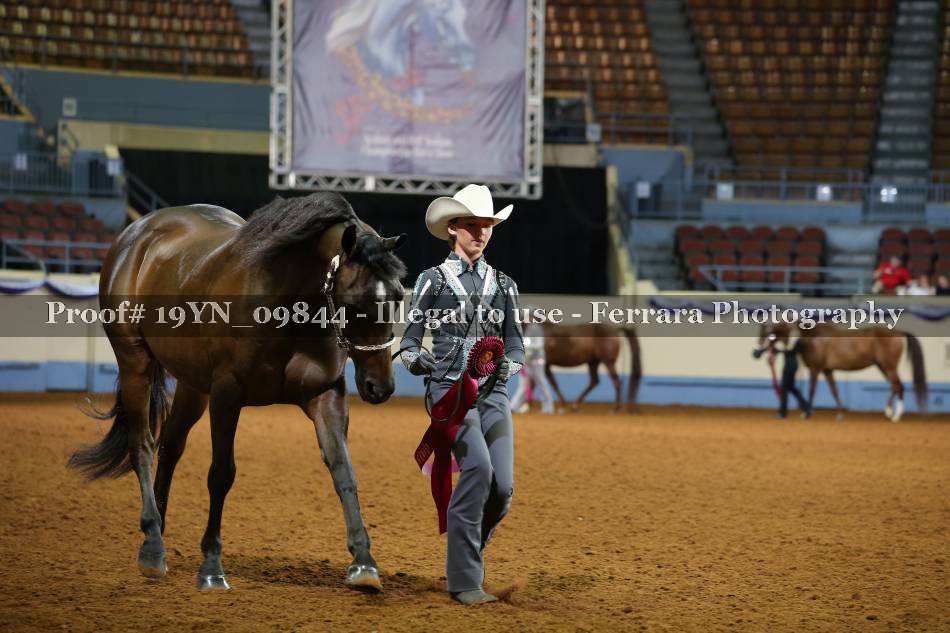 Proof 19YN_09844
