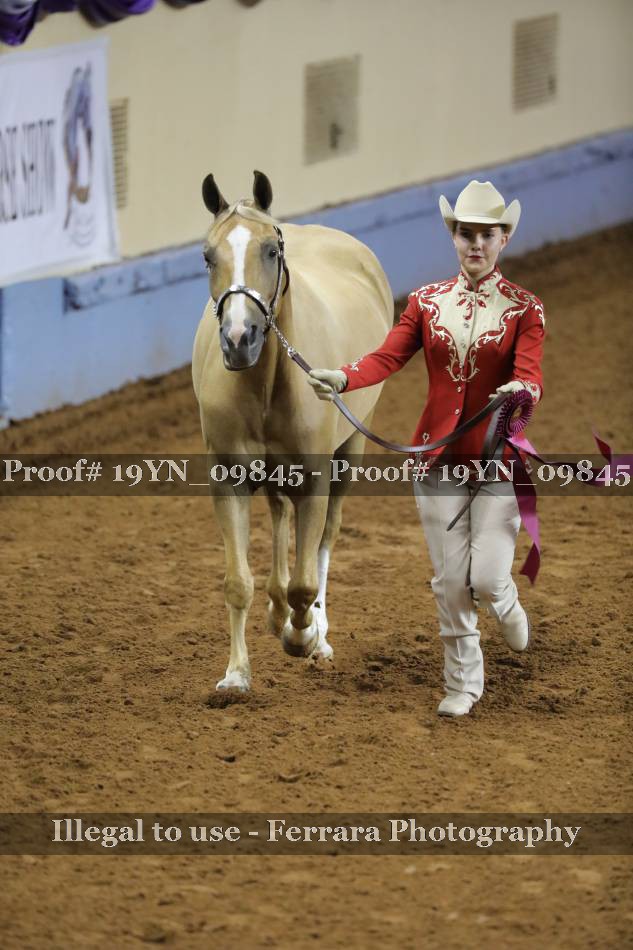 Proof 19YN_09845