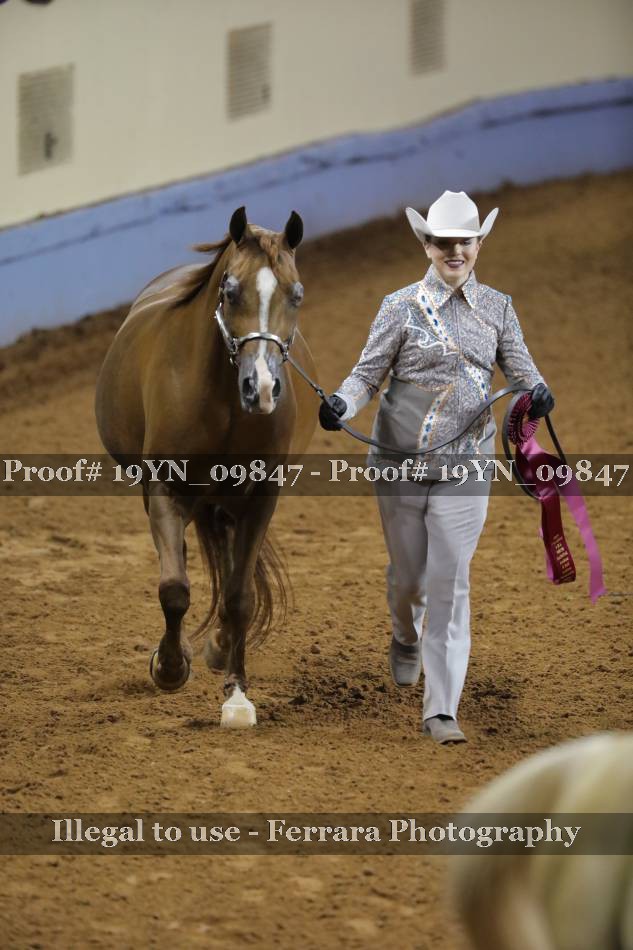Proof 19YN_09847