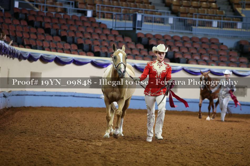 Proof 19YN_09848