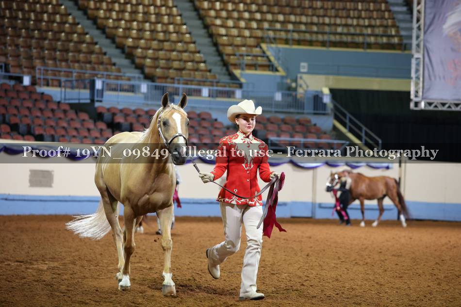Proof 19YN_09849