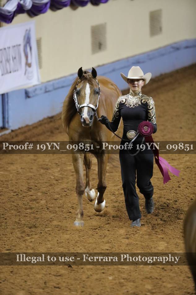 Proof 19YN_09851