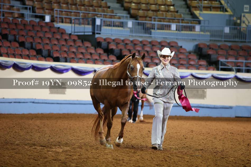 Proof 19YN_09852