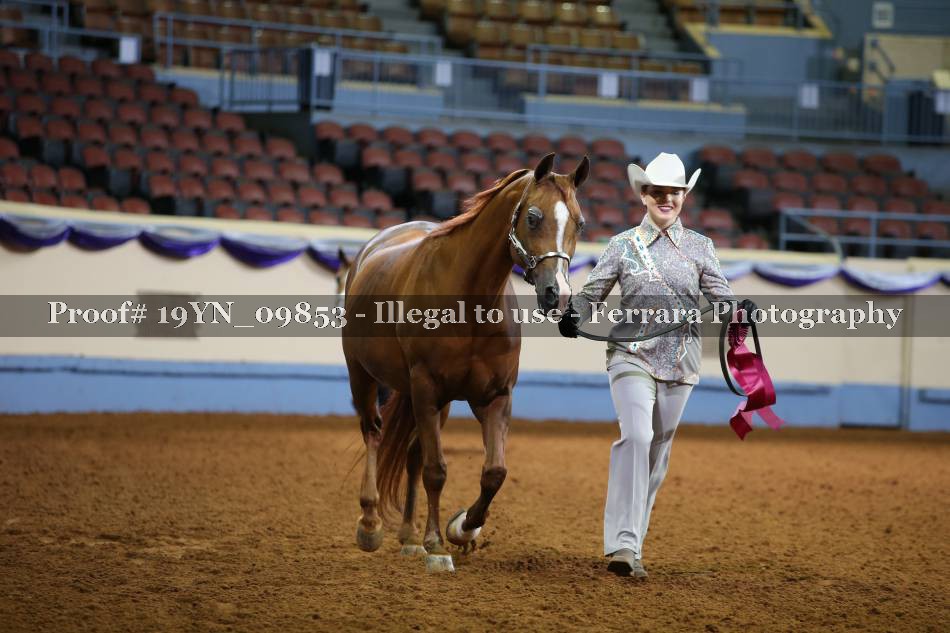 Proof 19YN_09853