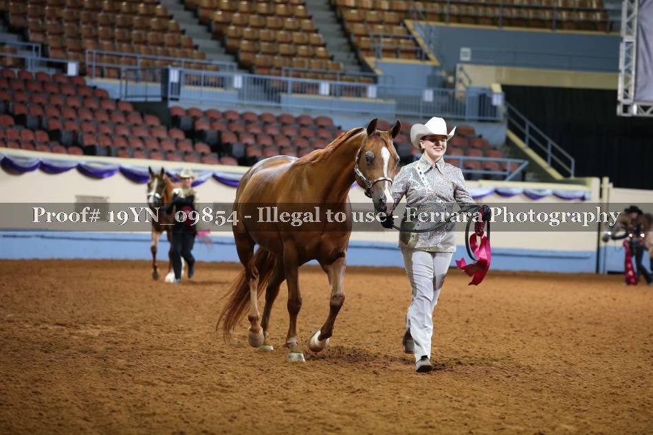 Proof 19YN_09854