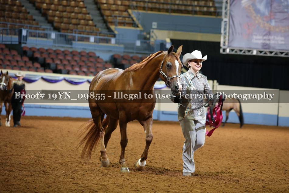 Proof 19YN_09855