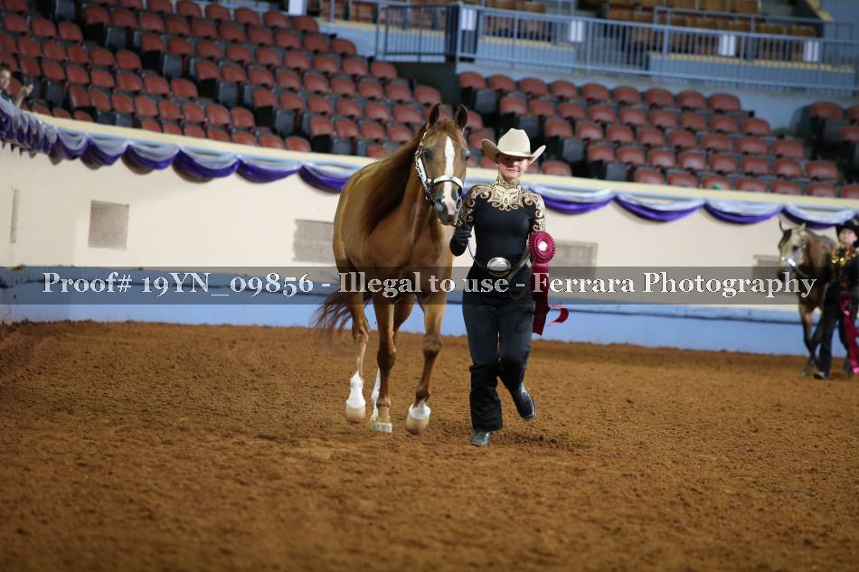 Proof 19YN_09856