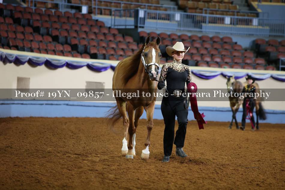 Proof 19YN_09857