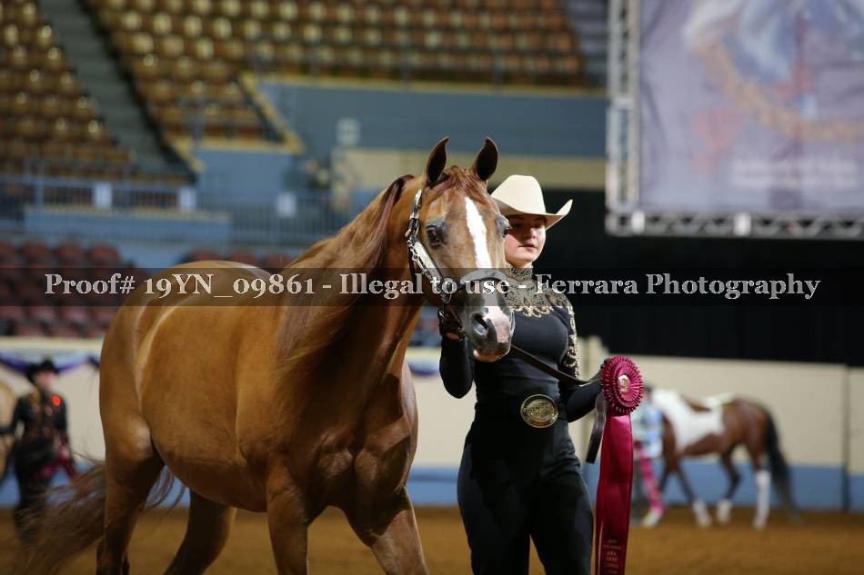 Proof 19YN_09861