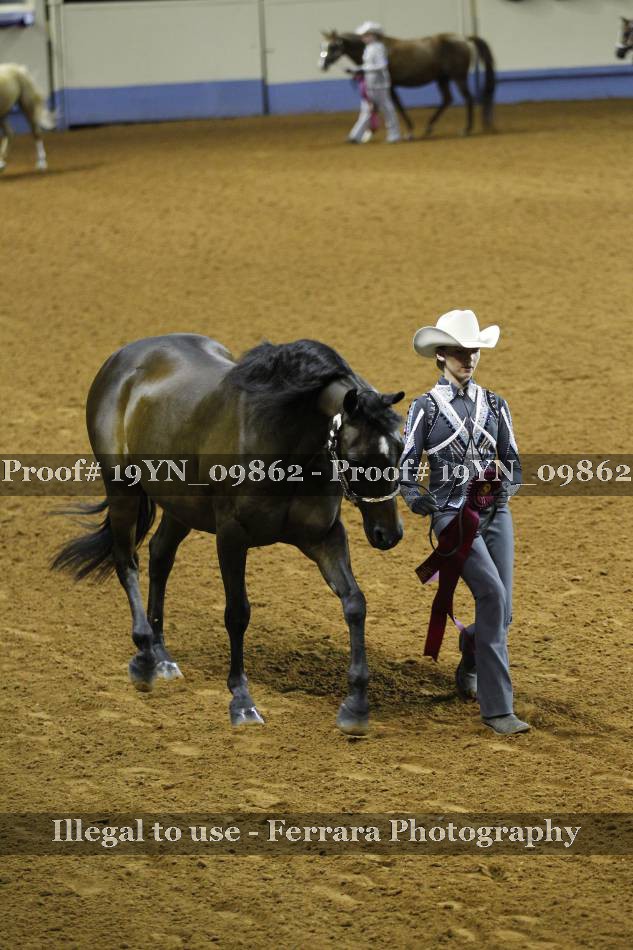 Proof 19YN_09862