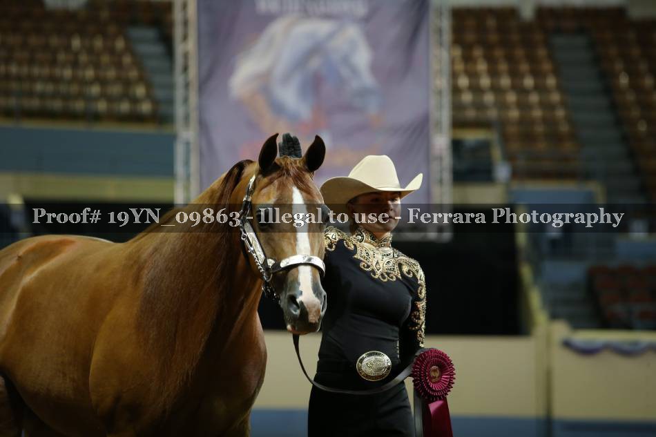 Proof 19YN_09863