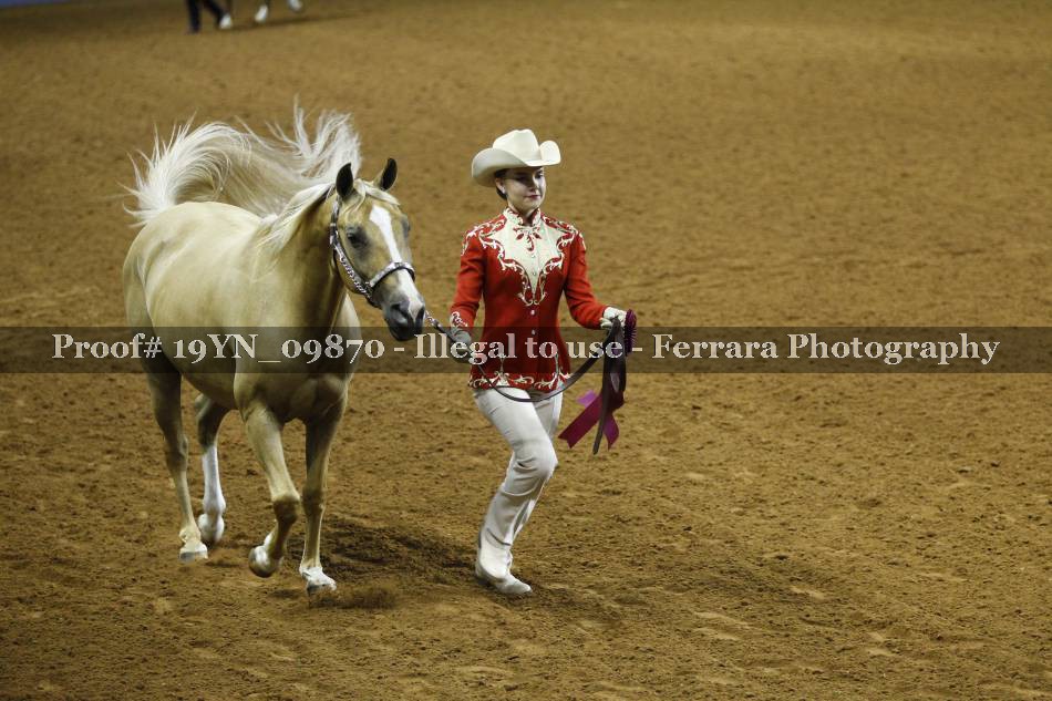Proof 19YN_09870