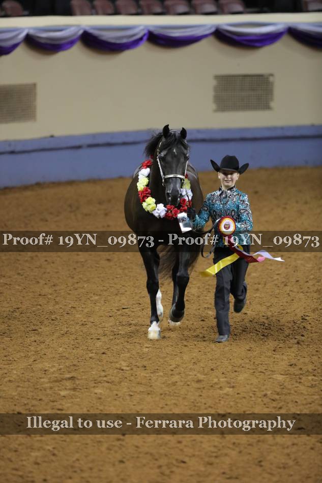 Proof 19YN_09873