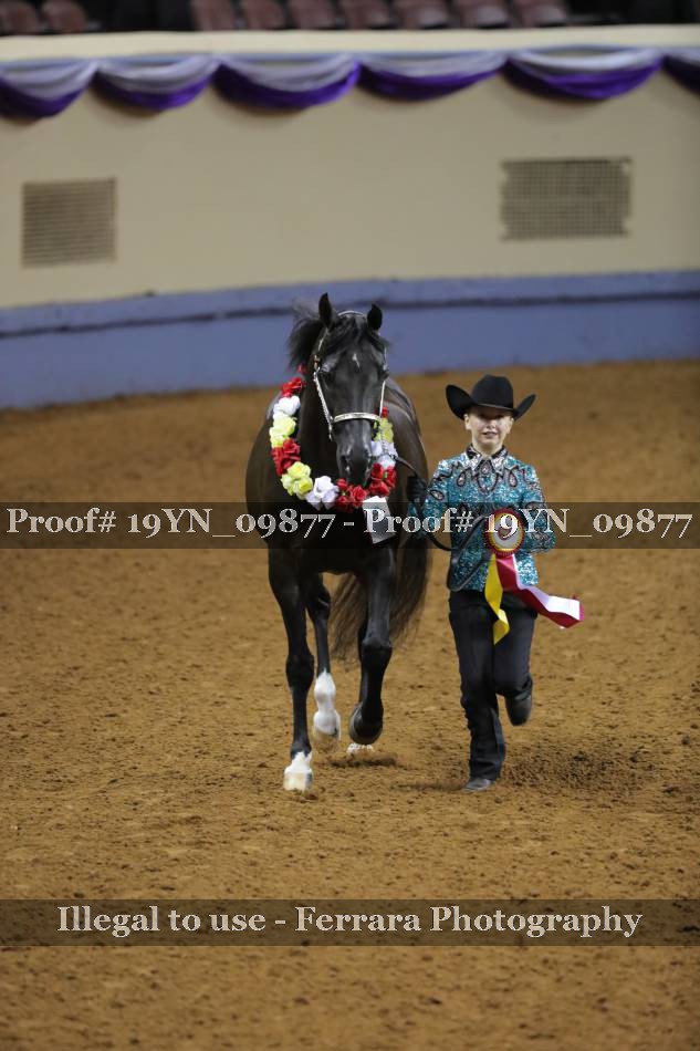 Proof 19YN_09877