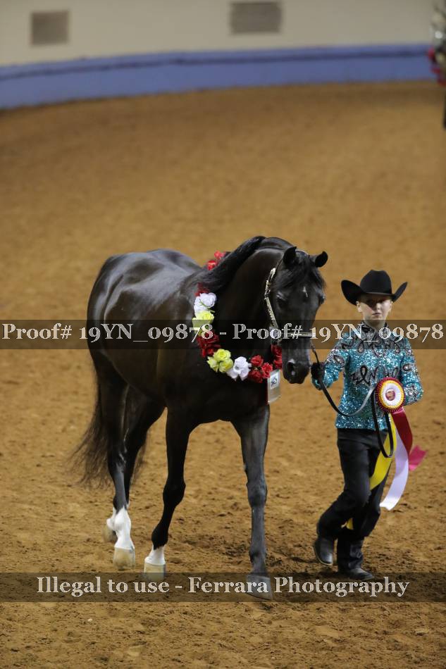 Proof 19YN_09878