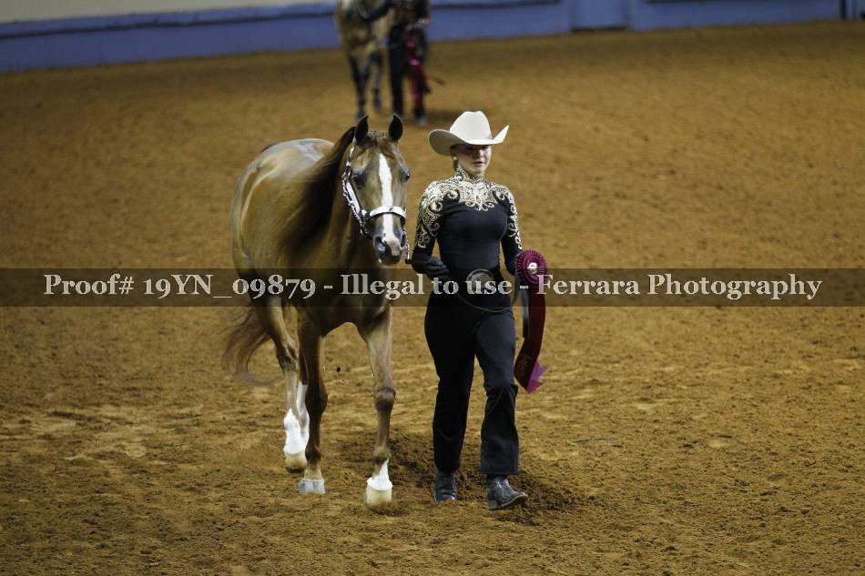 Proof 19YN_09879
