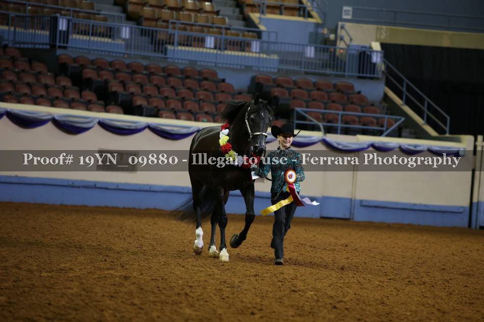 Proof 19YN_09880