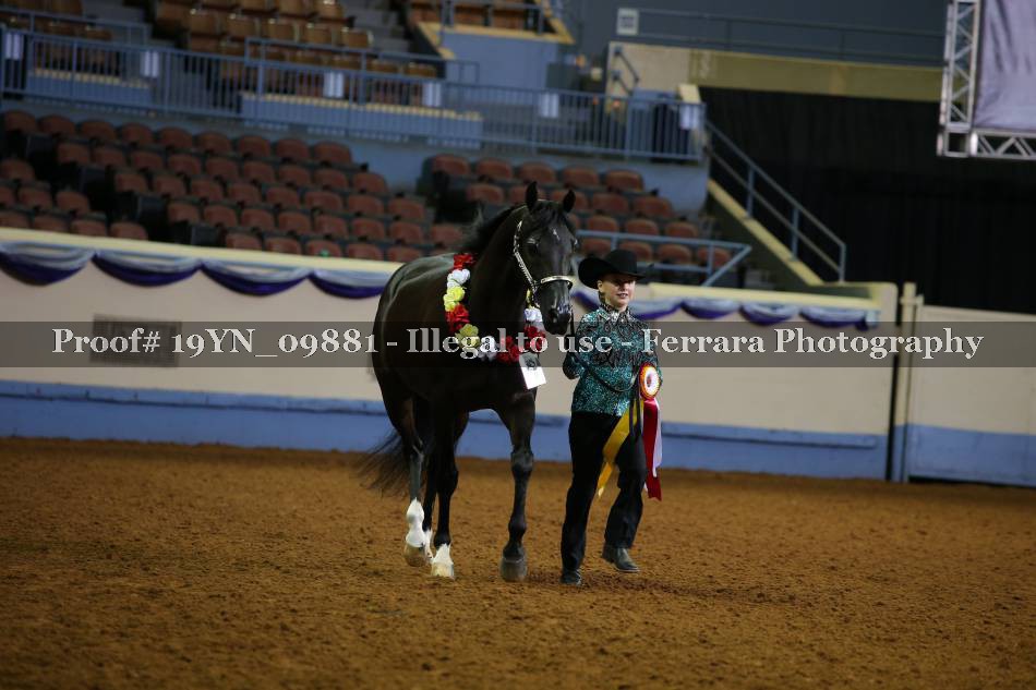 Proof 19YN_09881
