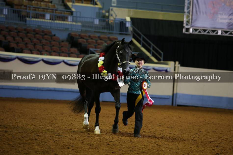Proof 19YN_09883