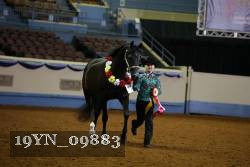 19YN_09883 proof