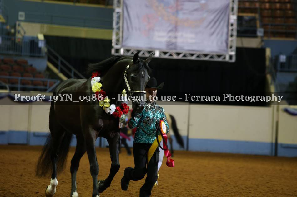 Proof 19YN_09884