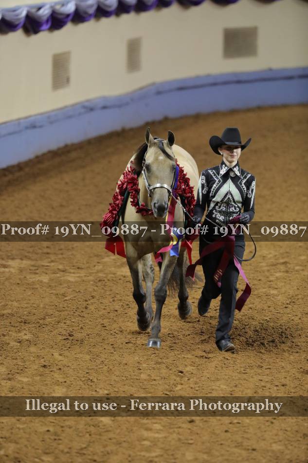 Proof 19YN_09887