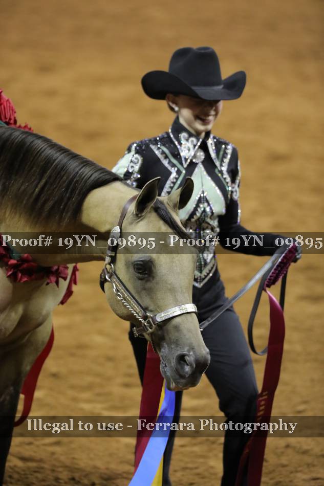 Proof 19YN_09895