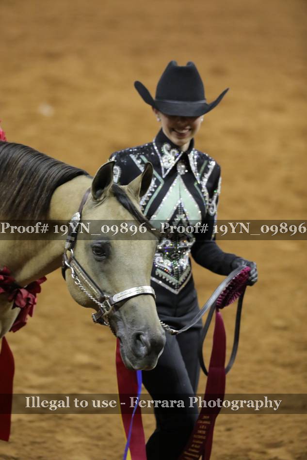 Proof 19YN_09896