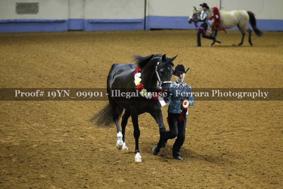 Proof 19YN_09901