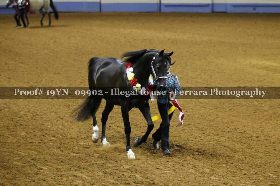 Proof 19YN_09902