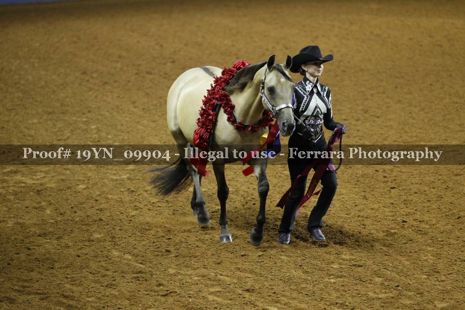Proof 19YN_09904