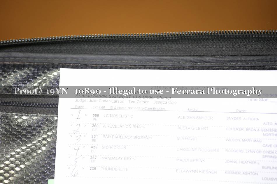 Proof 19YN_10890