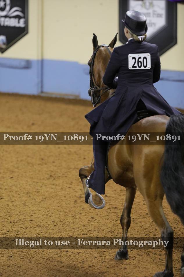 Proof 19YN_10891