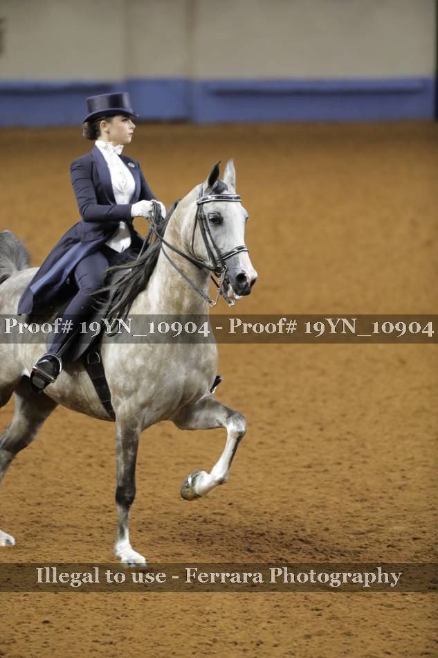 Proof 19YN_10904