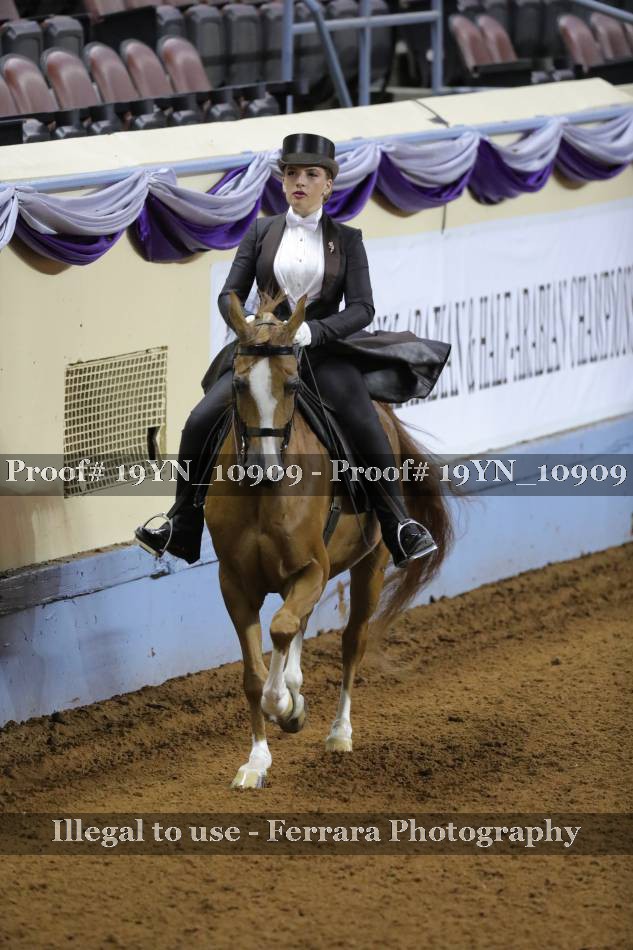 Proof 19YN_10909