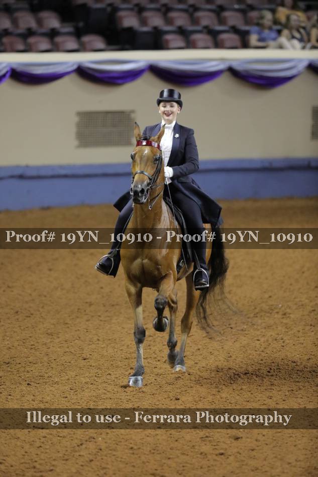 Proof 19YN_10910