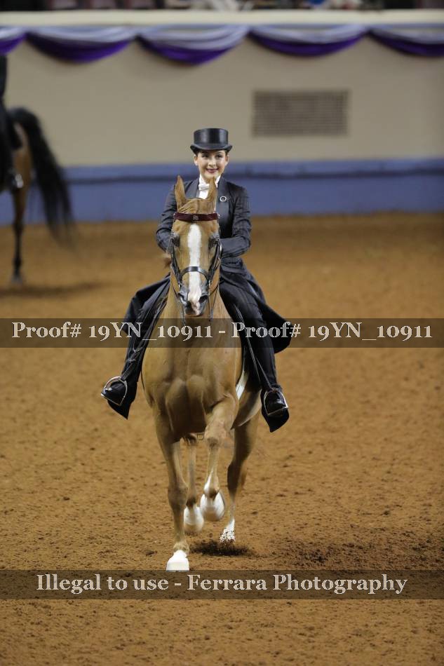 Proof 19YN_10911