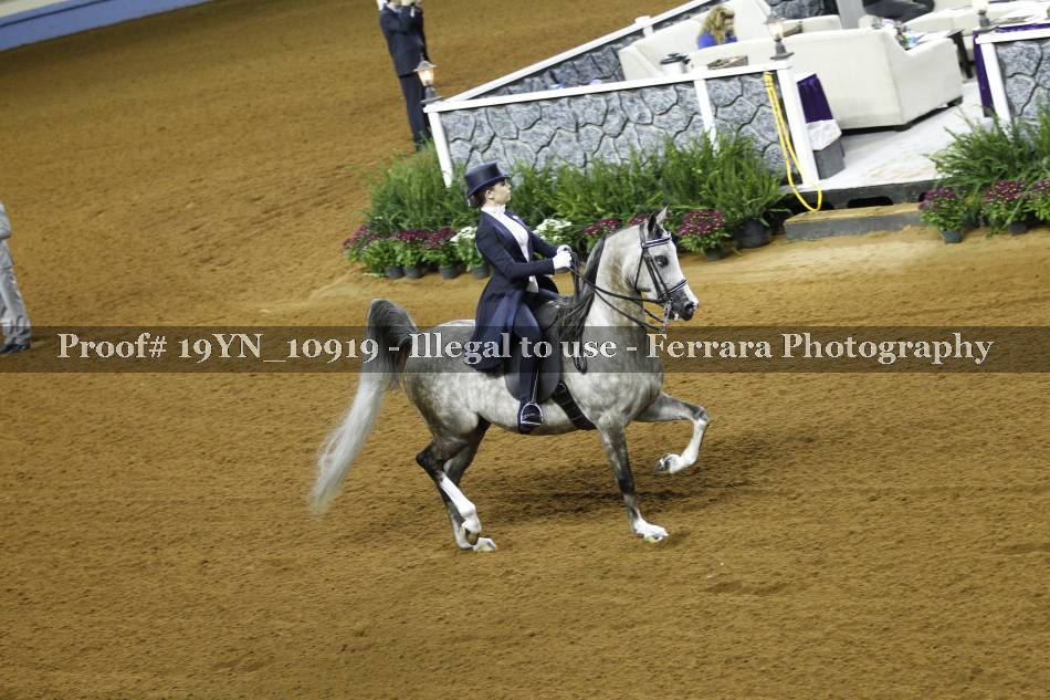 Proof 19YN_10919